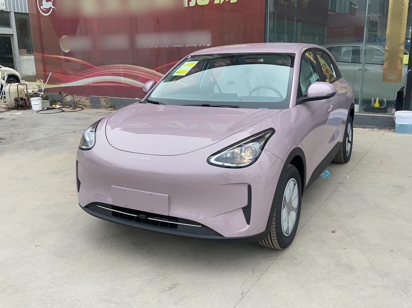 五菱汽车 五菱宏光新能源 2024款 纯电版 300KM 标准型