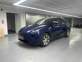 特斯拉 Model Y 2021款 标准续航后驱版