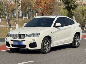 宝马X4 2014款 xDrive35i M运动型