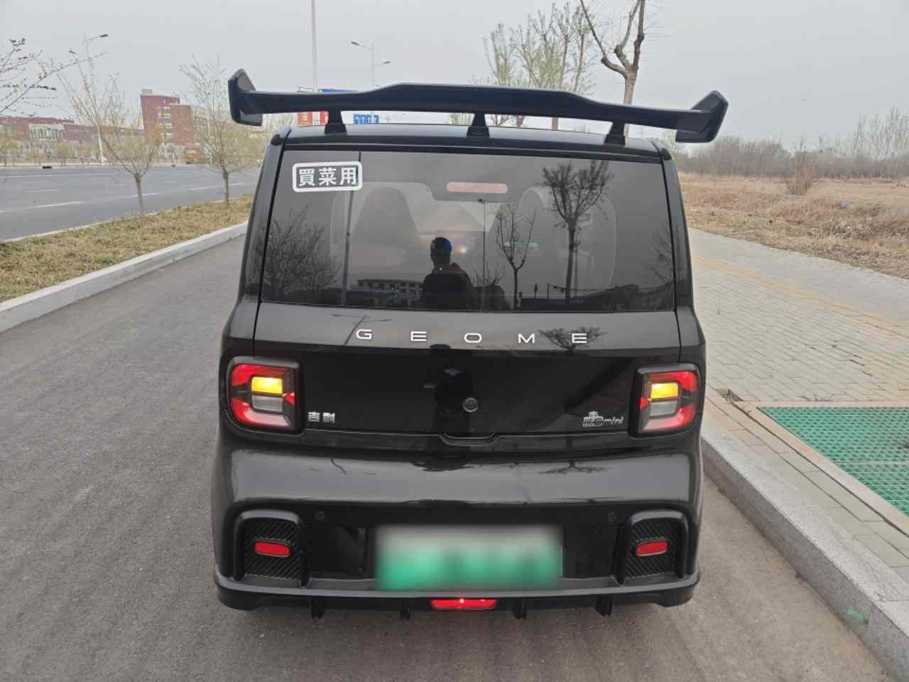 吉利银河 2024款 200km 熊猫卡丁(4)