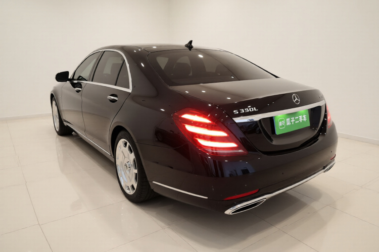 奔驰S级 2020款 S 350 L 尊享型 臻藏版车身外观5