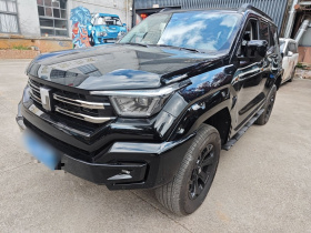 坦克400 2025款 2.0T 汽油版