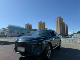 魏牌 摩卡新能源 2023款 两驱长续航版