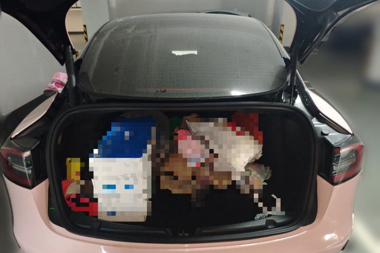 特斯拉 Model 3 2021款 标准续航后驱升级版 3D6局部细节23