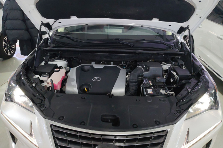 雷克萨斯NX 2020款 200 前驱 锋行版 国VI机舱底盘24