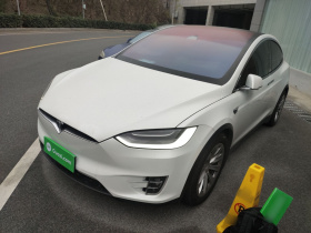 特斯拉 Model X 2019款 长续航版