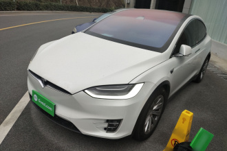 特斯拉 Model X 2019款 长续航版