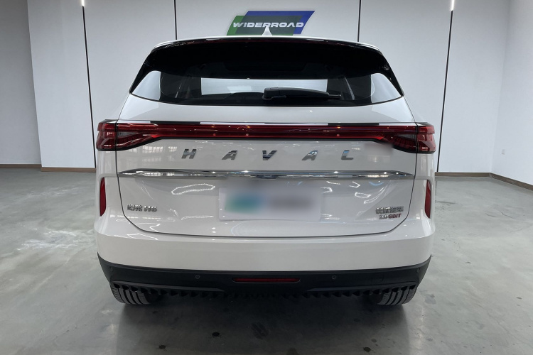 哈弗H6 2021款 第三代 2.0T 自动两驱Max车身外观6001