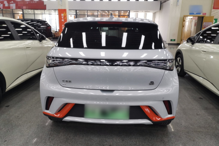 比亚迪 海豚 2021款 405km 自由版车身外观6