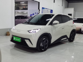 比亚迪 海鸥 2025款 305km 自由版