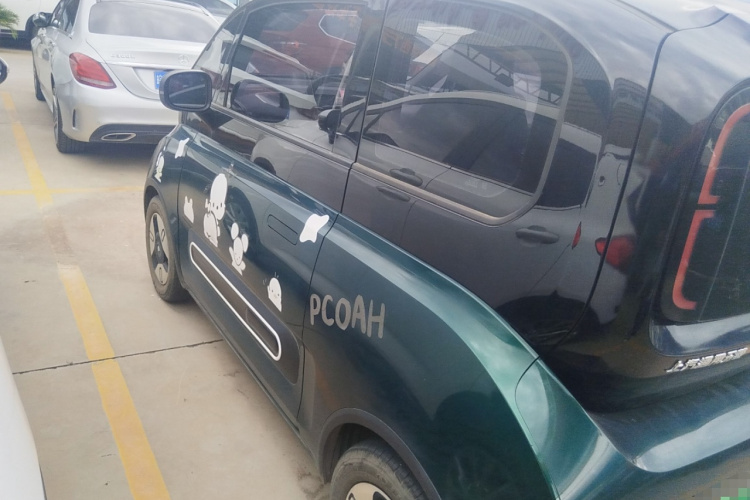 宝骏KiWi EV 2022款 设计师轻享版 三元锂车身外观6003