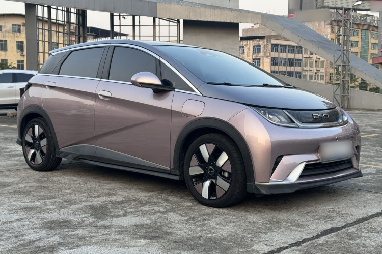 比亚迪 海豚 2021款 401km 骑士版车身外观6003