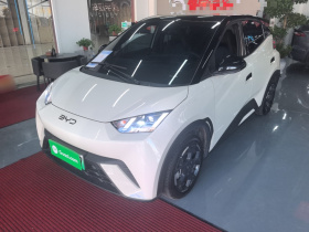 比亚迪 海鸥 2025款 305km 自由版