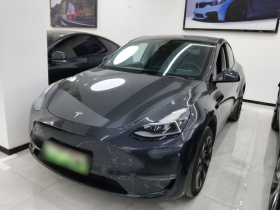特斯拉 Model Y 2024款 长续航全轮驱动版