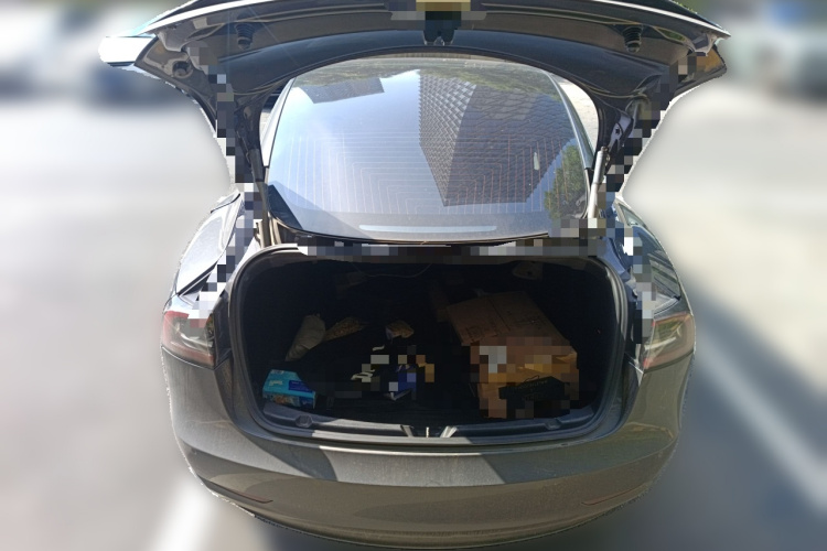 特斯拉 Model 3(进口) 2019款 长续航后驱版局部细节23