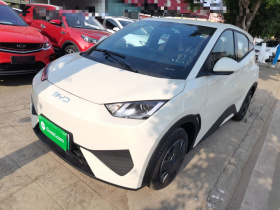 比亚迪 海鸥 2025款 智驾版 305km 活力版