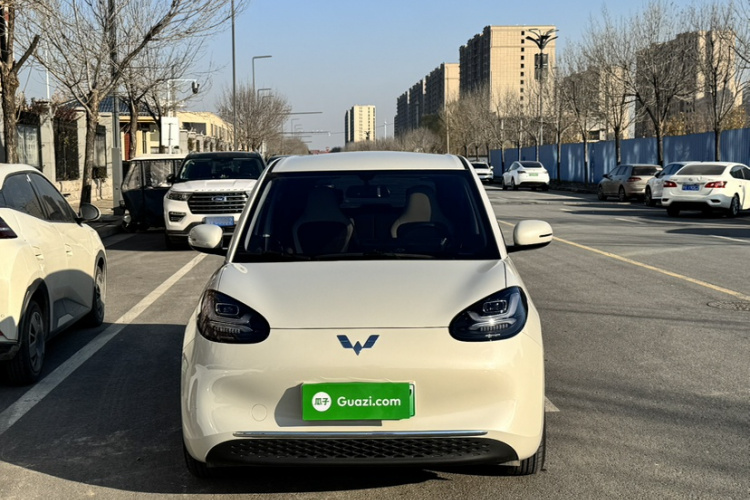 五菱汽车 五菱缤果 2024款 333km 悦享款车身外观6002