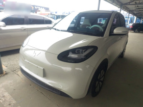 五菱汽车 五菱缤果 2023款 203km 舒享款