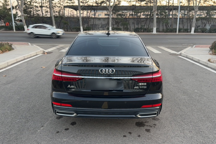 奥迪A6L 2019款 45 TFSI 臻选动感型车身外观6006