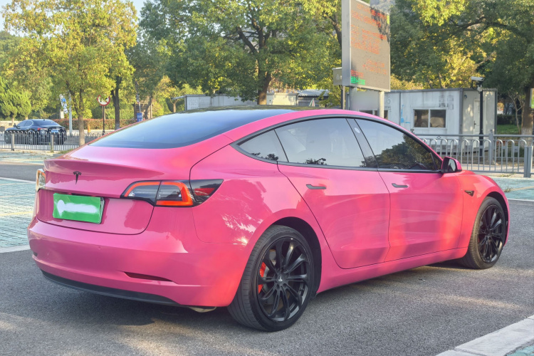 特斯拉 Model 3 2021款 Performance高性能全轮驱动版车身外观6005