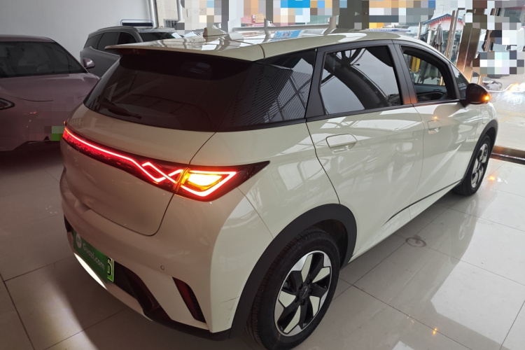 比亚迪 海豚 2024款 荣耀版 420km 自由版车身外观6005