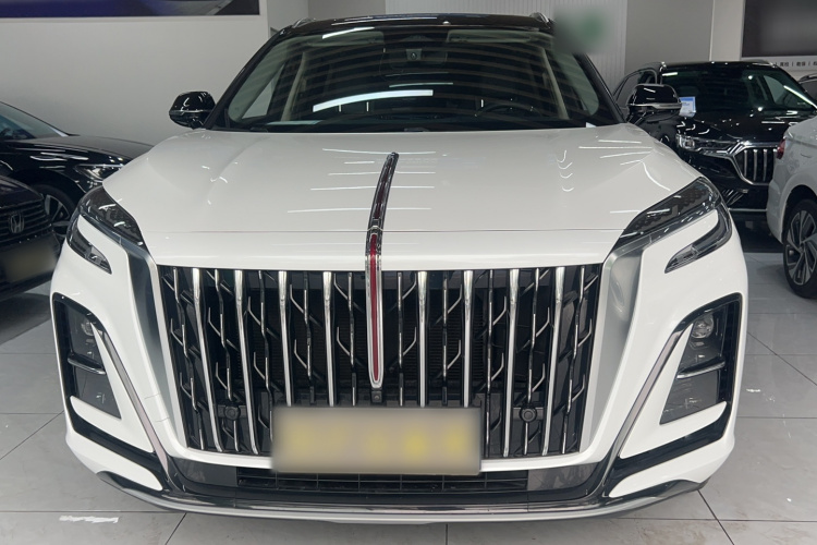 红旗HS3 2023款 1.5T 两驱善为版车身外观6002