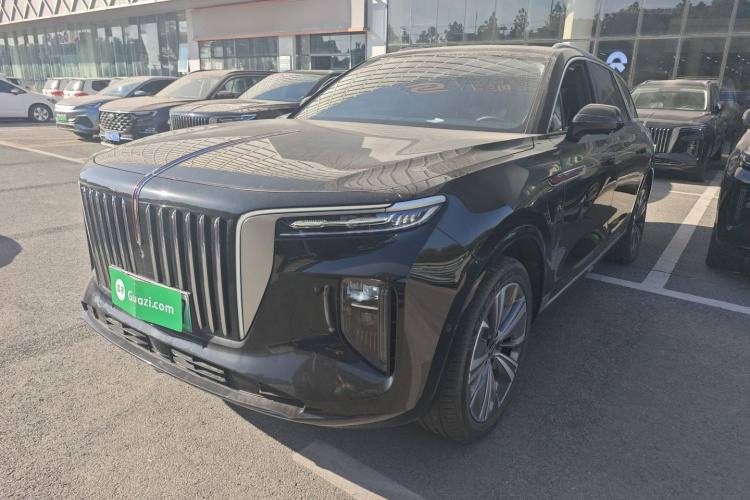 红旗E-HS9 2021款 460km 旗享版 六座车身外观1