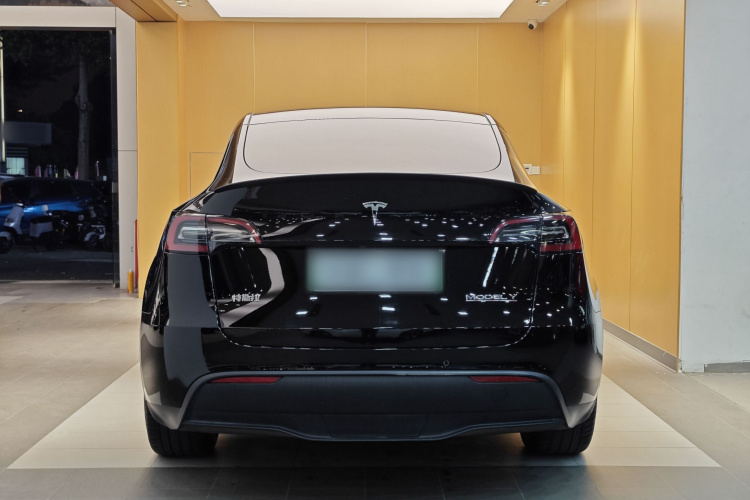 特斯拉 Model Y 2021款 标准续航后驱版车身外观6008