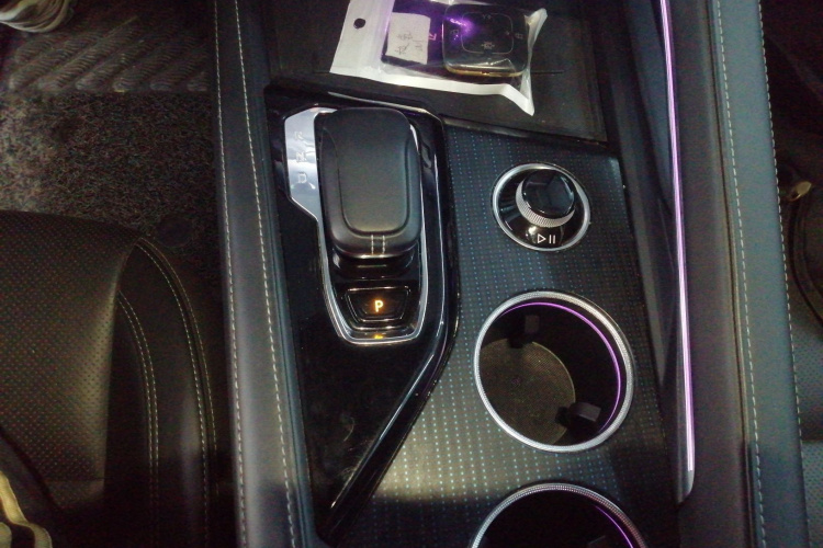 极氪001 2022款 超长续航单电机 WE版局部细节18