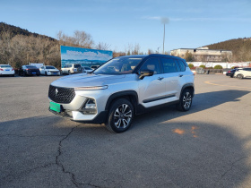 宝骏RS-5 2019款 1.5T CVT智能驾控旗舰版 国VI