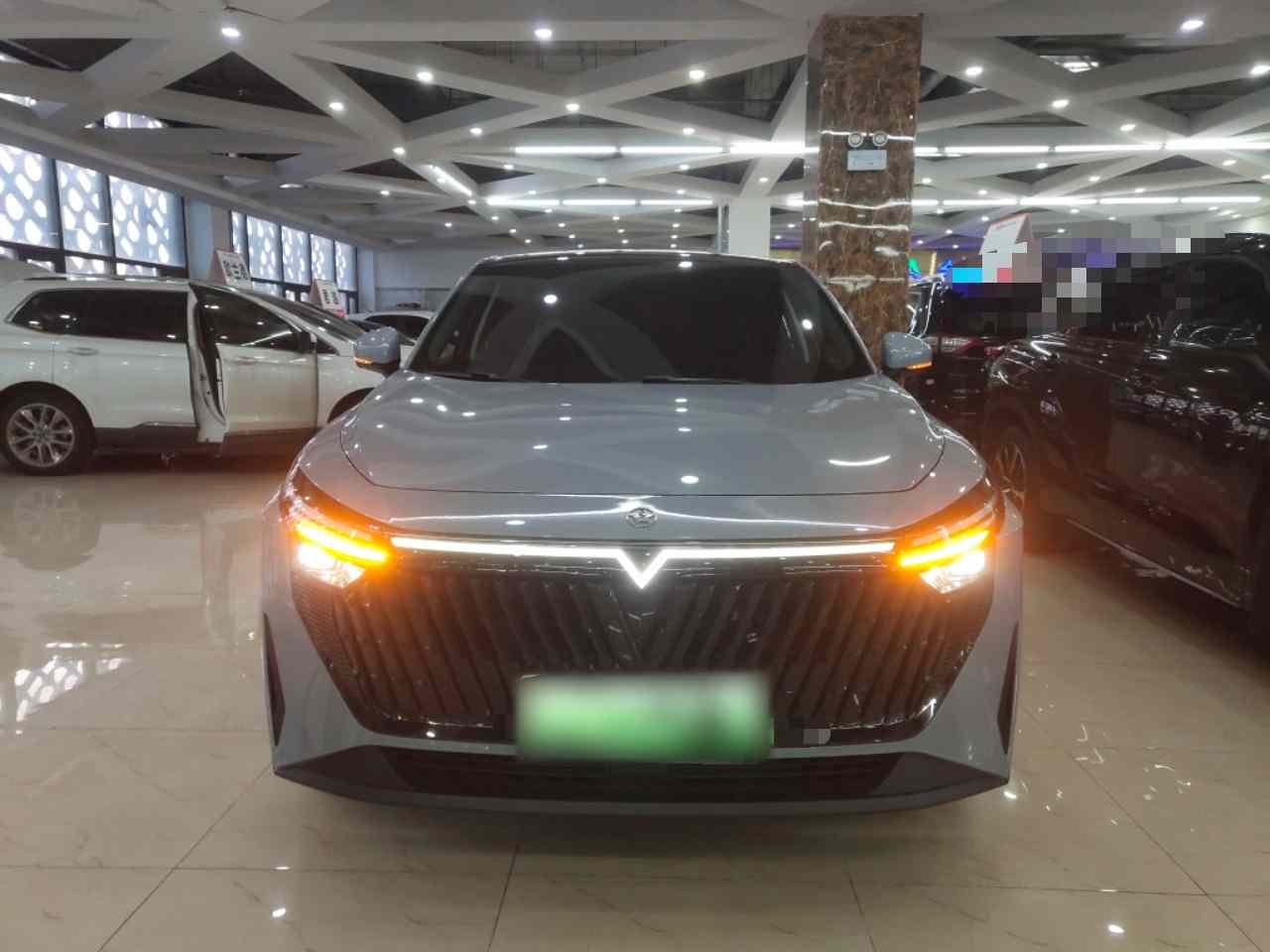 启辰大V DD-i 2023款 60km iD版(2)