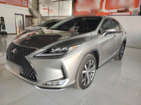 雷克萨斯RX 2020款 改款 300 四驱典雅版