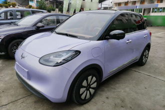 五菱汽车 五菱缤果 2025款 333km 灵犀尊享款