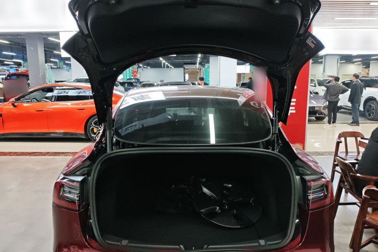 特斯拉 Model 3 2021款 标准续航后驱升级版 3D6局部细节23