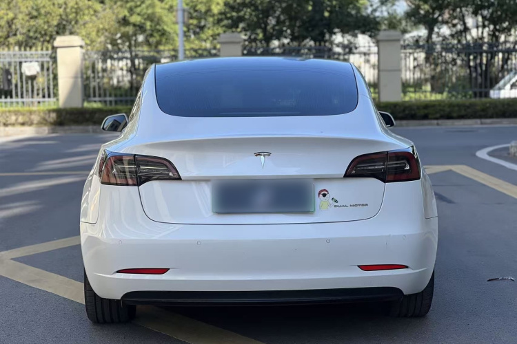 特斯拉 Model 3(进口) 2019款 长续航全轮驱动版车身外观6