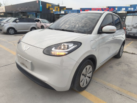 五菱汽车 五菱缤果 2023款 333km 快享款