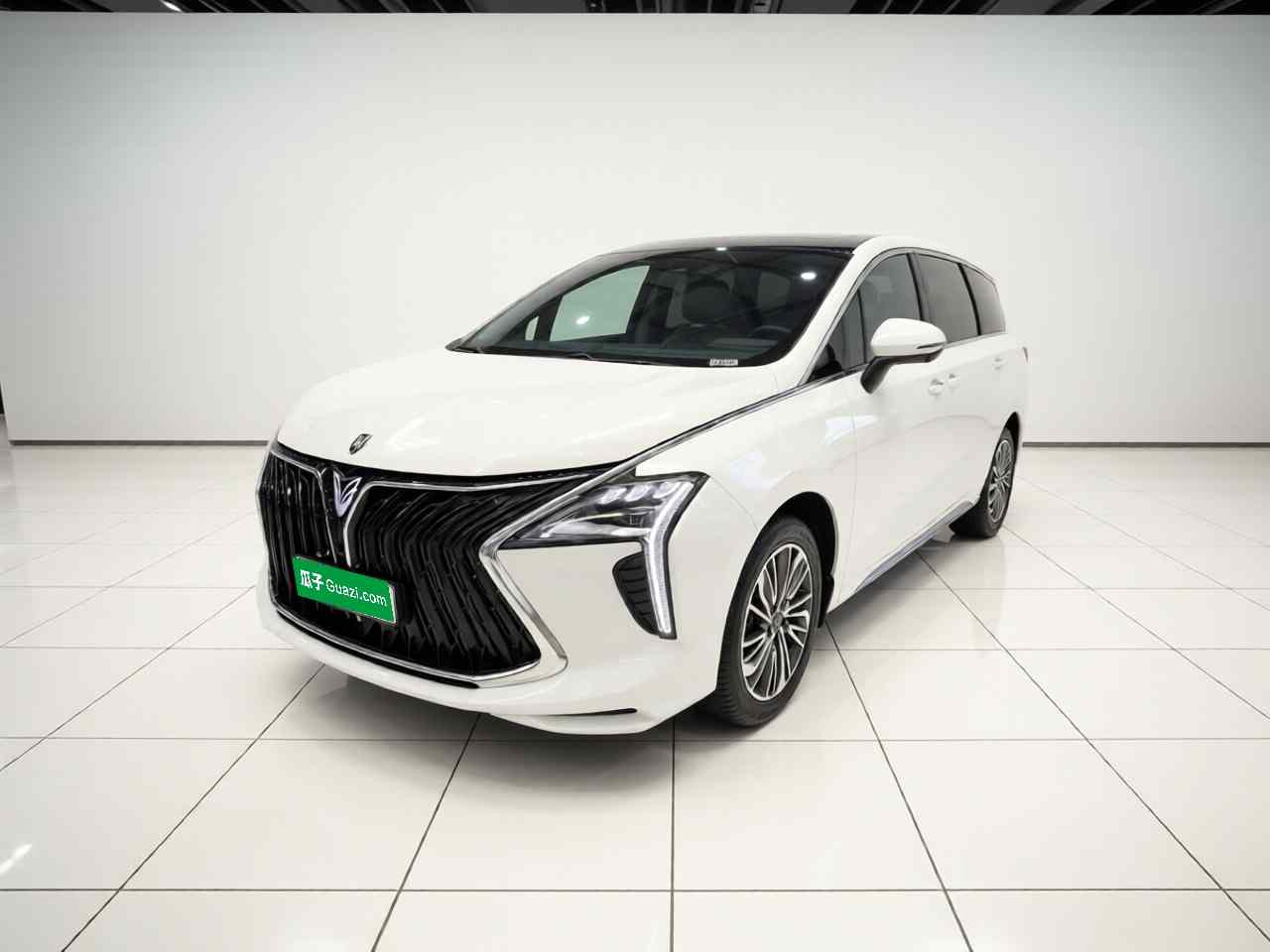 东风风行 风行游艇 2024款 1.5T DCT 观海版(2)