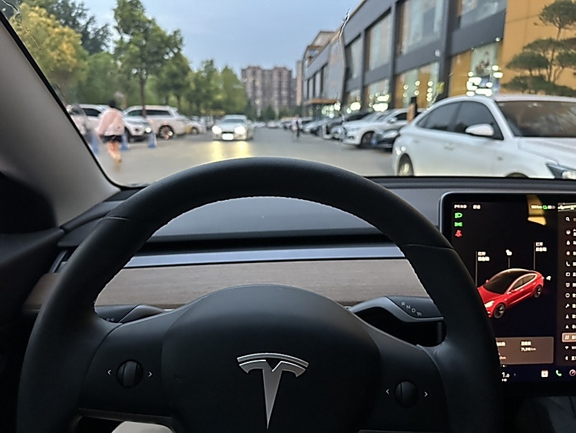 特斯拉 Model 3(进口) 2019款 标准续航后驱升级版(52度)