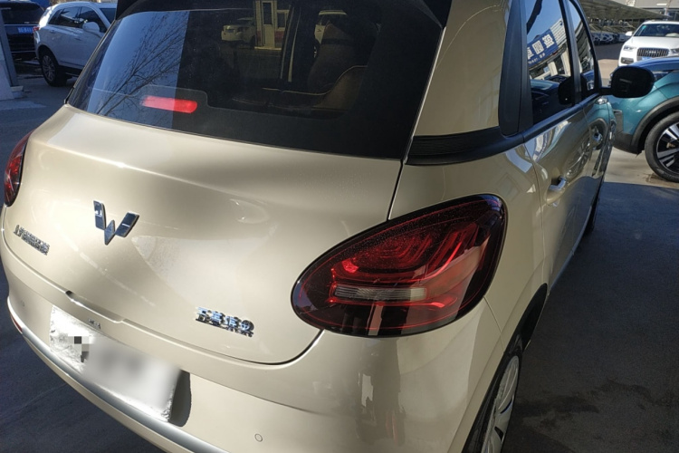 五菱汽车 五菱缤果 2023款 333km 快享款车身外观7