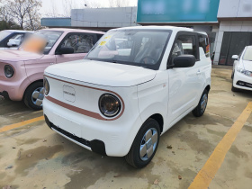 吉利银河 2024款 熊猫mini 200km 耐力熊