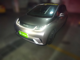 比亚迪 海豚 2021款 405km 时尚版