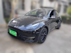特斯拉 Model Y 2021款 标准续航后驱版
