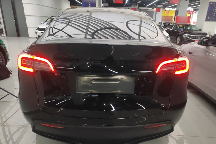 特斯拉 Model Y 2021款 标准续航后驱版车身外观6004
