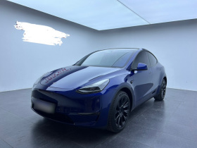 特斯拉 Model Y 2021款 长续航全轮驱动版