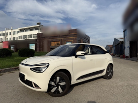 东风纳米 纳米01 2024款 焕新版 330 Air