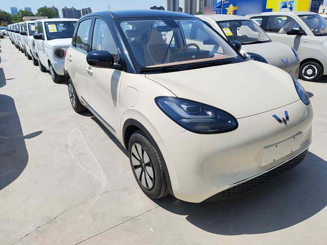 五菱汽车 五菱缤果 2025款 333km 悦享款(5)