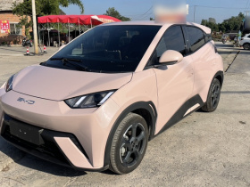 比亚迪 海鸥 2023款 自由版