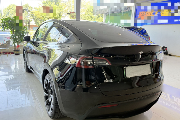 特斯拉 Model Y 2021款 标准续航后驱版车身外观6006
