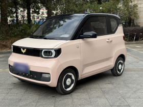 五菱汽车 宏光MINIEV 2021款 马卡龙臻享款 磷酸铁锂