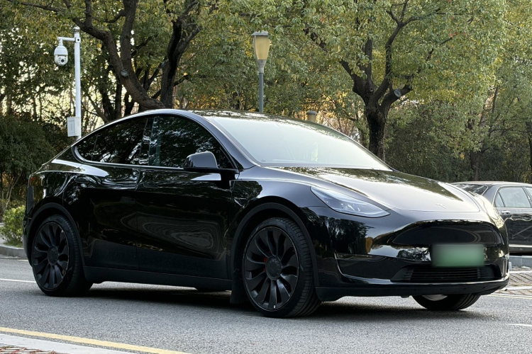 特斯拉 Model Y 2022款 Performance高性能全轮驱动版车身外观6003